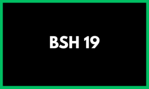 BSH 19