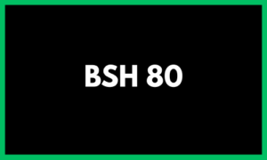 BSH 80