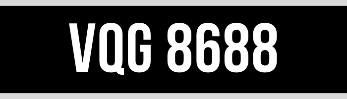 VQG 8688