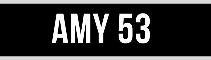 AMY 53