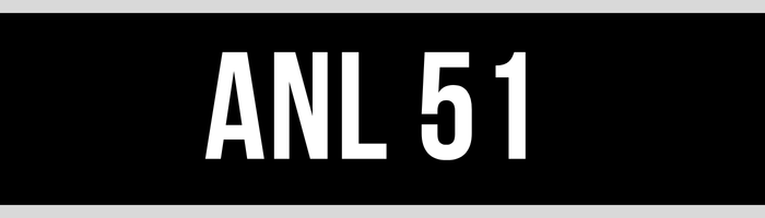 ANL 51