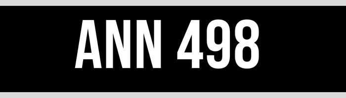 ANN 498