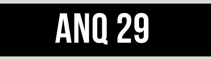 ANQ 29