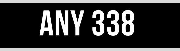 ANY 338