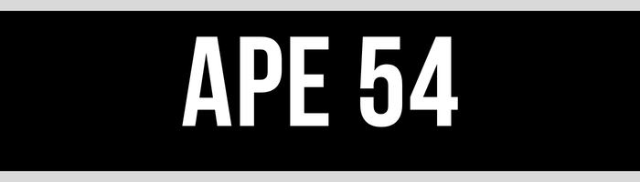 APE 54