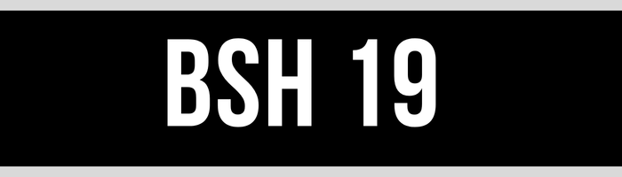 BSH 19