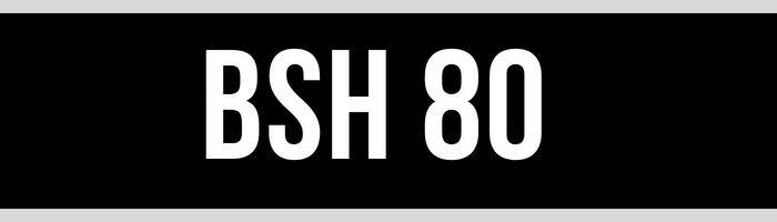 BSH 80