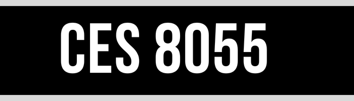 CES 8055
