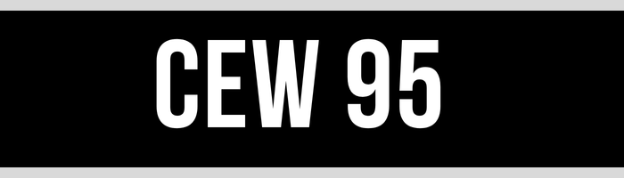 CEW 95