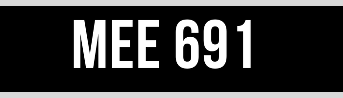MEE 691