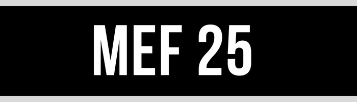 MEF 25