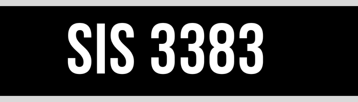 SIS 3383