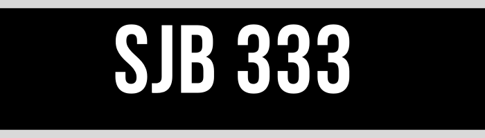 SJB 333