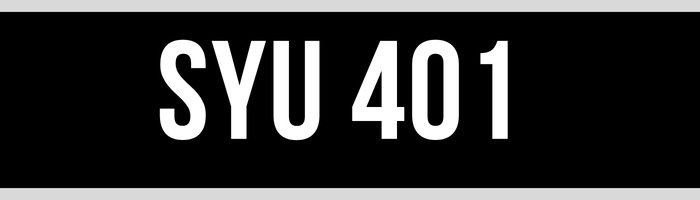 SYU 401