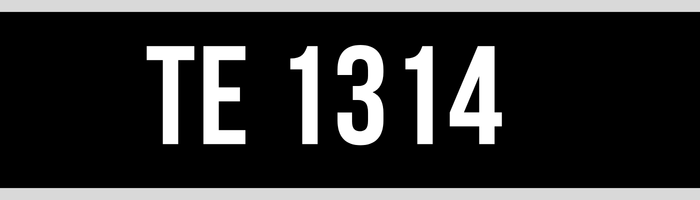 TE 1314