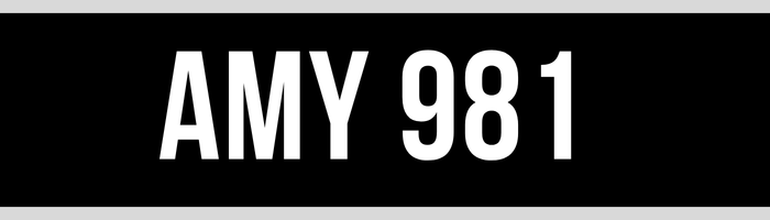 AMY 981