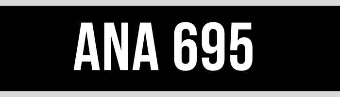 ANA 695