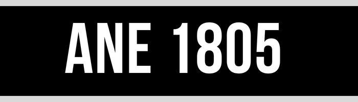 ANE 1805