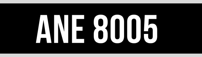 ANE 8005