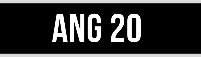 ANG 20