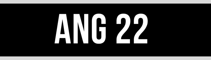 ANG 22