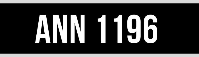 ANN 1196