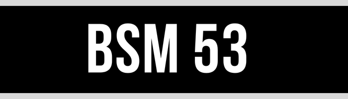 BSM 53