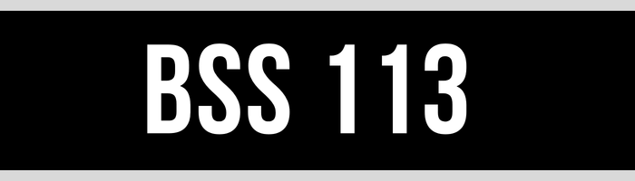 BSS 113