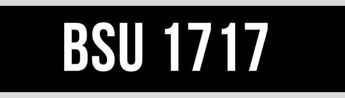 BSU 1717