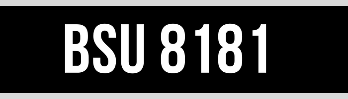 BSU 8181