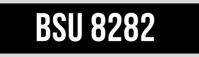 BSU 8282
