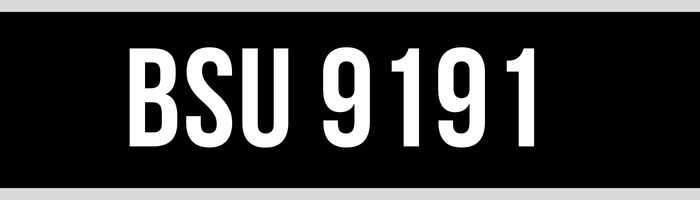 BSU 9191
