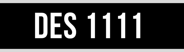 DES 1111