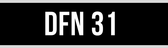DFN 31
