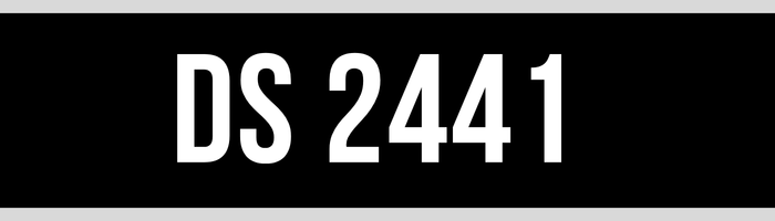 DS 2441