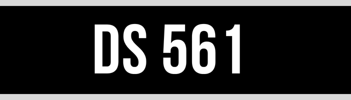 DS 561