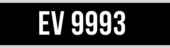 EV 9993