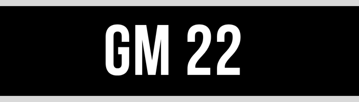GM 22