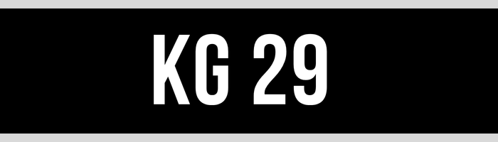 KG 29