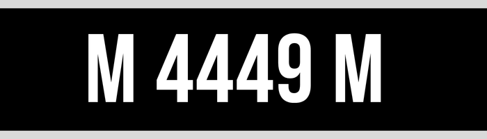 M 4449 M