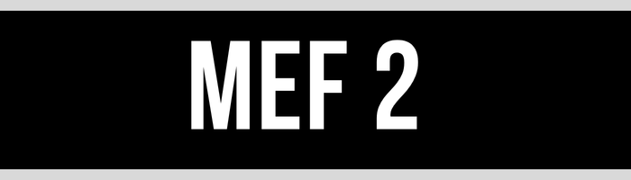 MEF 2