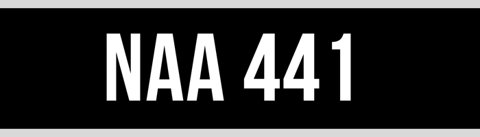 NAA 441