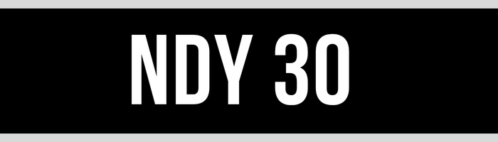 NDY 30