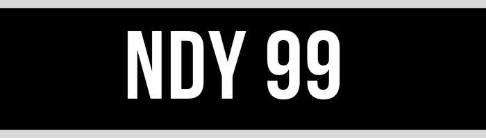NDY 99