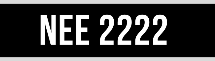 NEE 2222
