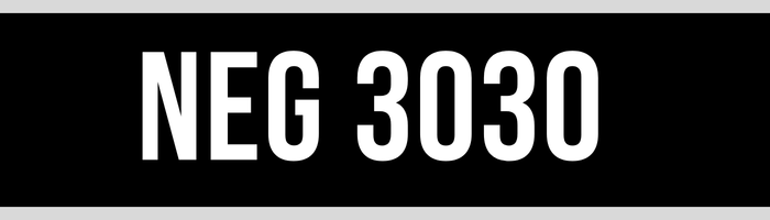 NEG 3030