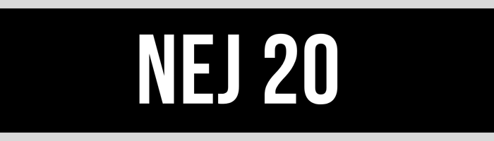 NEJ 20