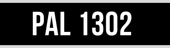 PAL 1302