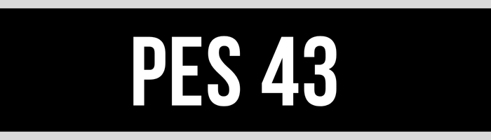 PES 43