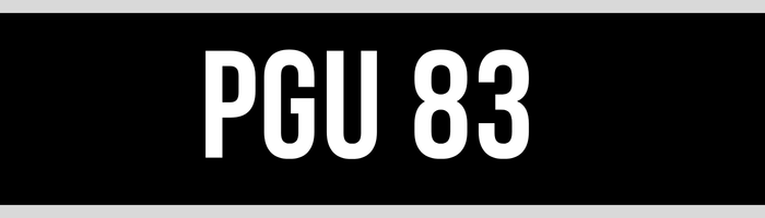PGU 83